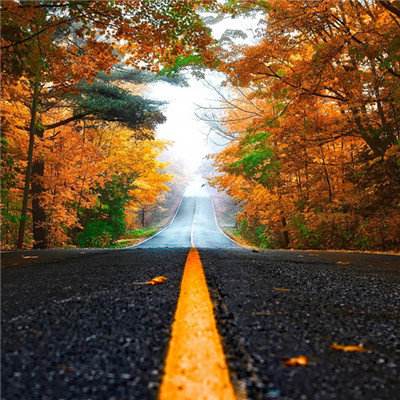 火狐体育APP体育手机app下载